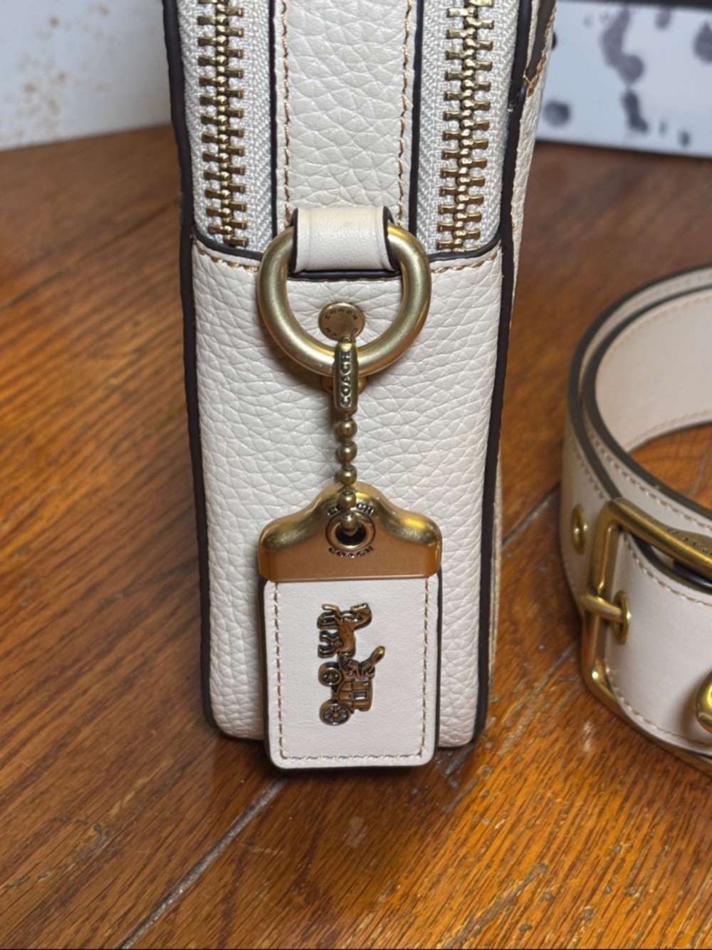 Coach x Mint & Serf North/South Charter Crossbody Bag - Limited Edition EUC - Picture 14 of 15